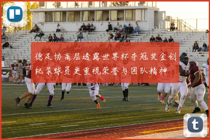 德足协高层透露世界杯夺冠奖金创纪录球员更重视荣誉与团队精神