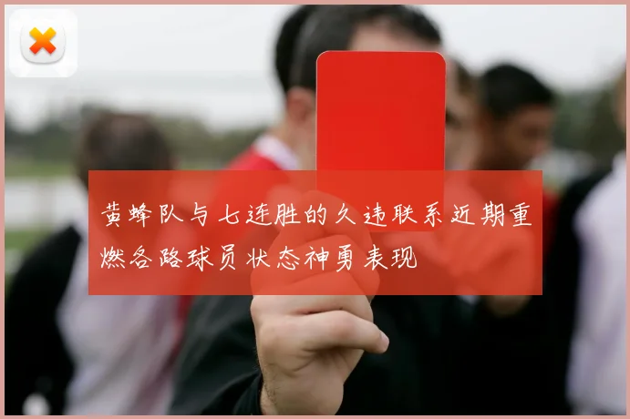 黄蜂队与七连胜的久违联系近期重燃各路球员状态神勇表现